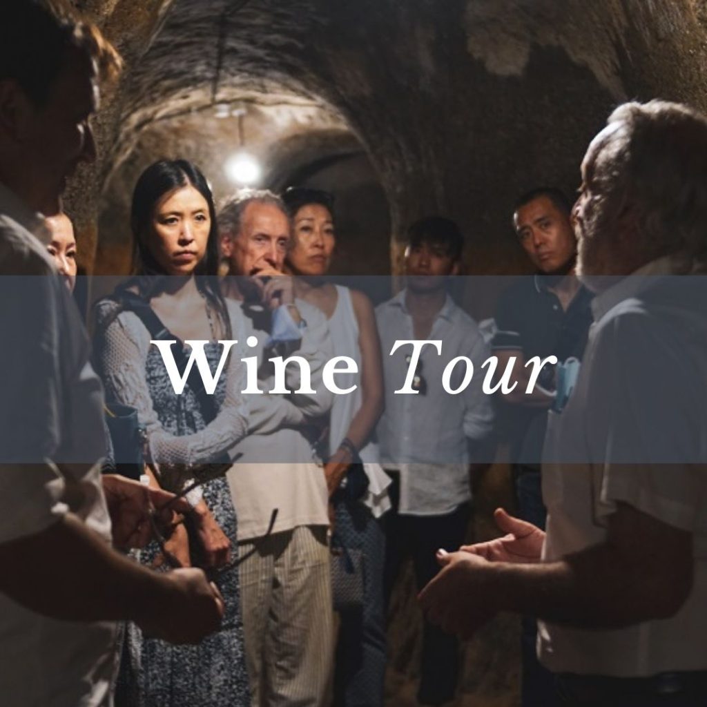 wine tour copertina